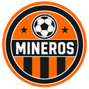 Skin Mineros de Guayana